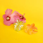 Pince Fleurs